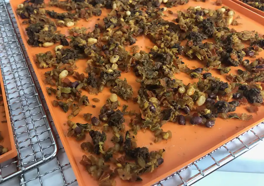 A close-up showing the soup after dehydration on a silicon tray