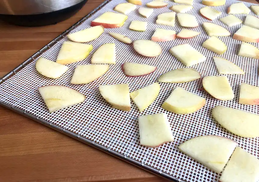 Showing cut apples on dehydrator trays