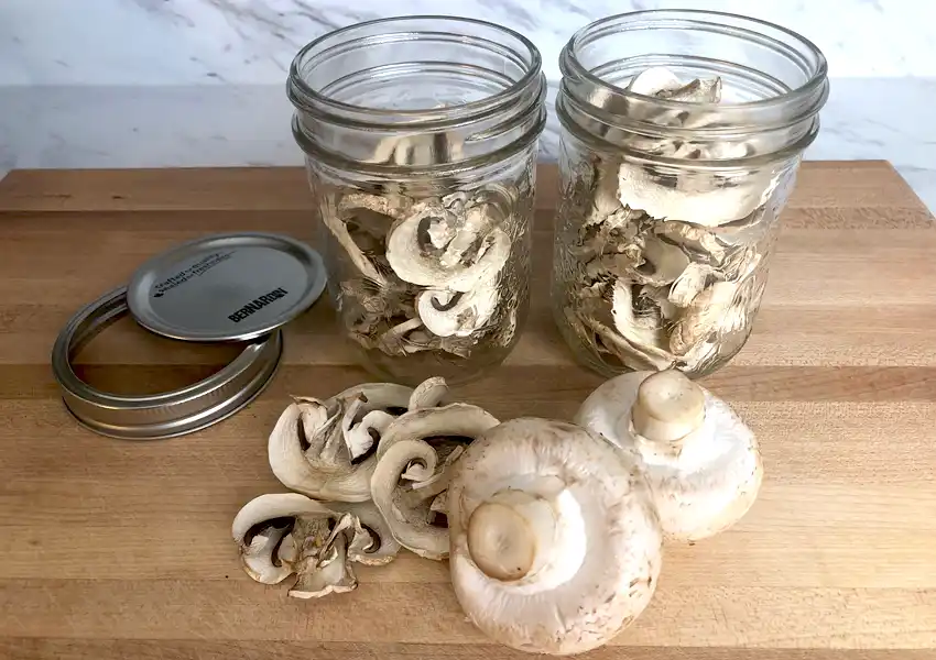 Dehydrated Mushrooms