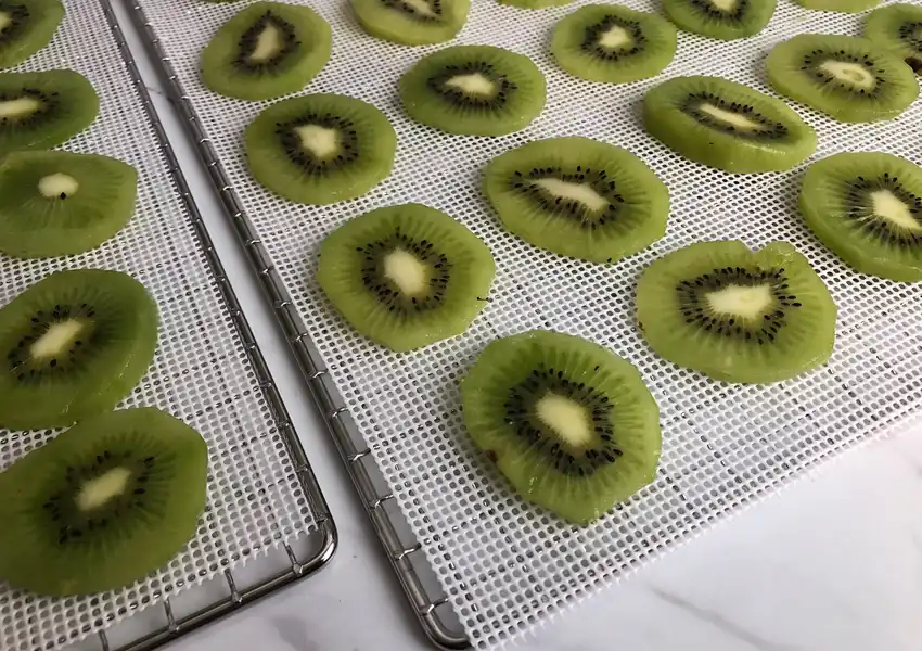 showing kiwi slices placed on dehydrator trays
