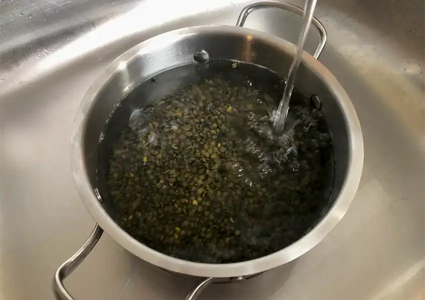 A pot of uncooked lentils being rinsed under cold water