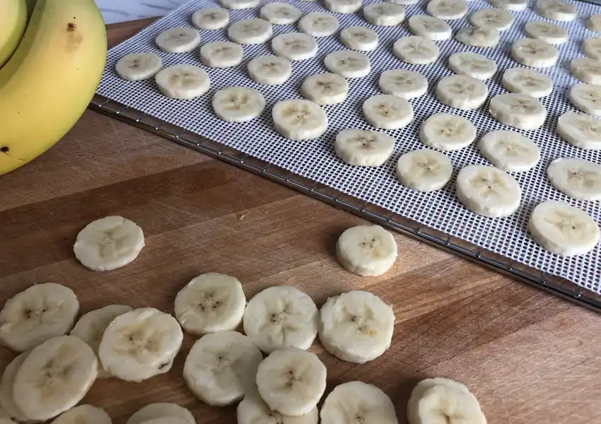 Showing sliced bananas on a dehydrator tray, ready for drying