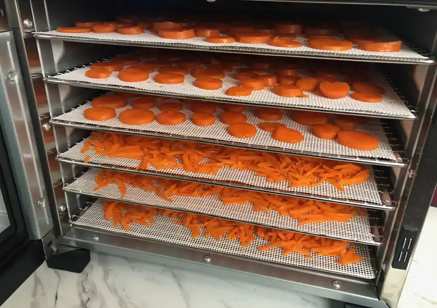A photo showing all the trays of blanched carrots in the dehydrator ready for drying