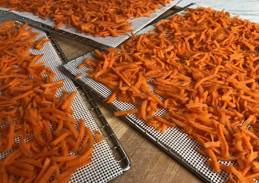 Close up view of shredded carrots being placed on dehydrator trays