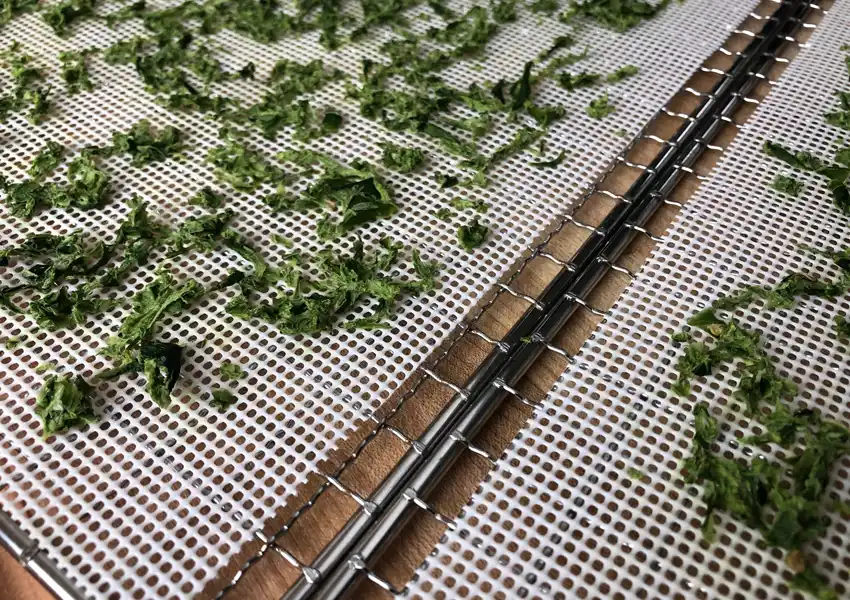 Showing diced jalapenos on dehydrator racks after they are dried
