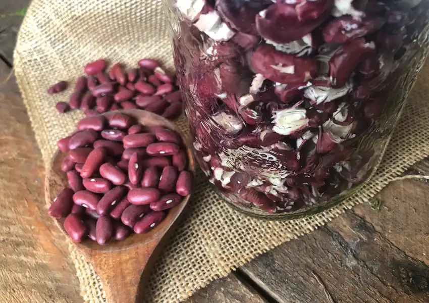 Dehydrated Kidney Beans