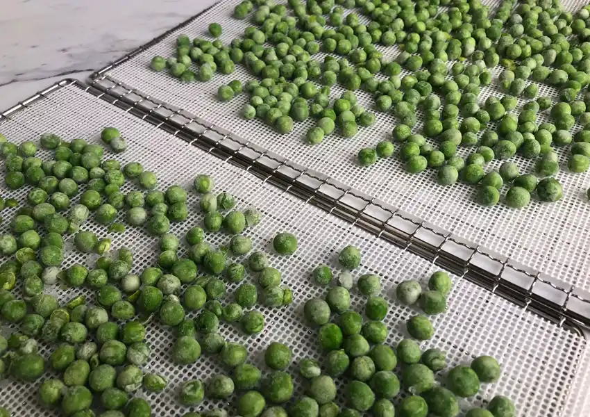 Showing frozen peas spread out on dehydrator trays and silicone mats