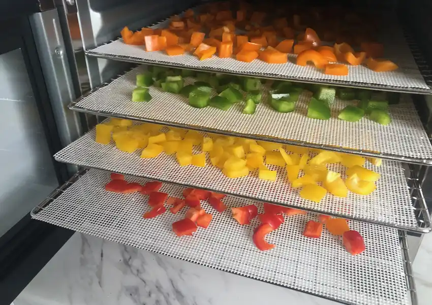Showing the prepared bell peppers in the dehydrator