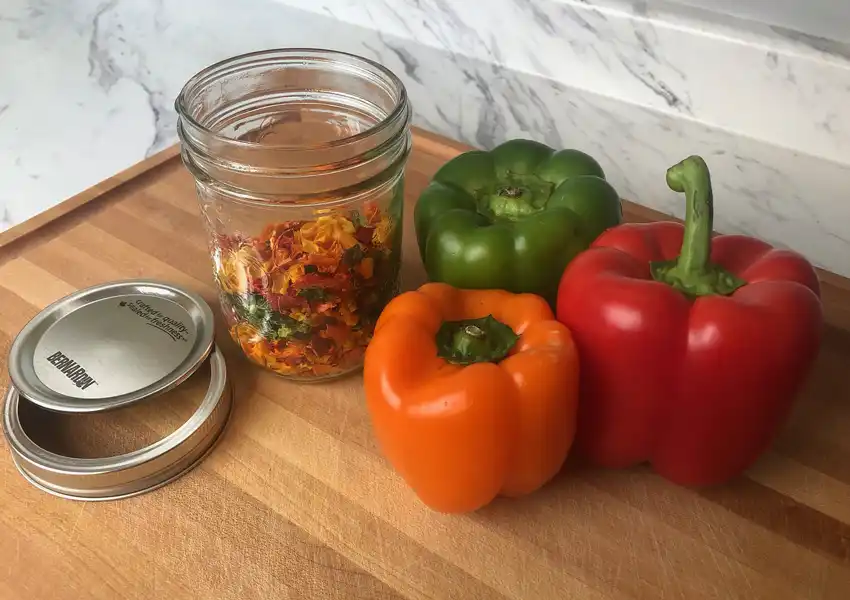 Showing bell peppers after dehydration placed in a mason jar next to fresh peppers