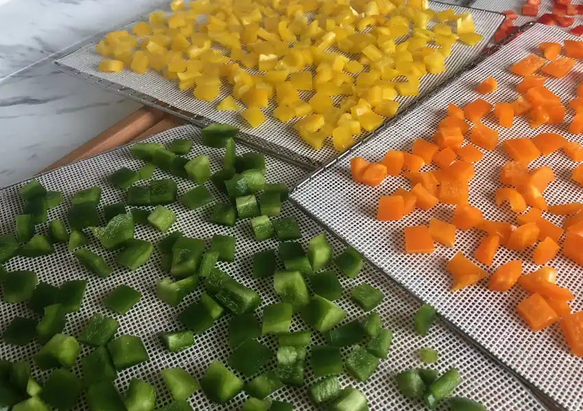 Showing diced bell peppers placed on dehydrator racks for drying