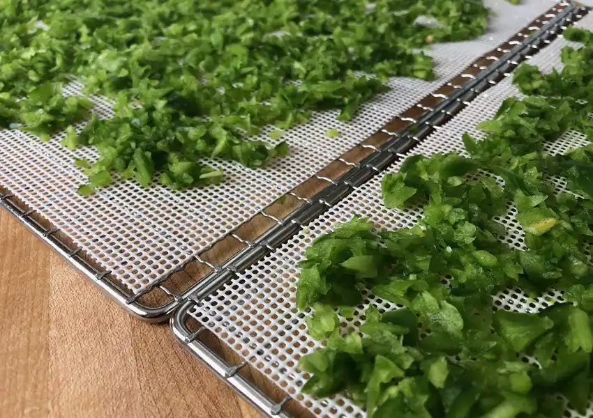 Jalapenos processed and spread out on dehydrator racks with silicone mesh