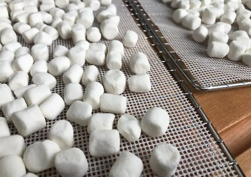 Showing fresh marshmallows laid out on dehydrator trays