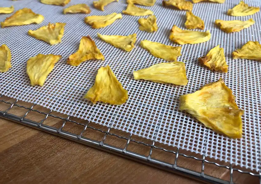 Showing the pineapple pieces after dehydration