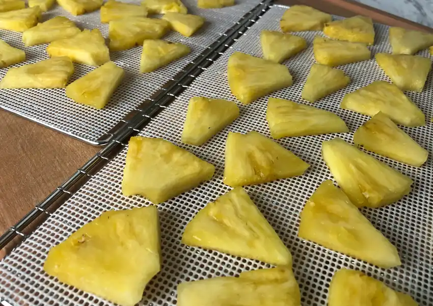 Showing pineapple tidbits spread out on silicon mesh to begin dehydrating