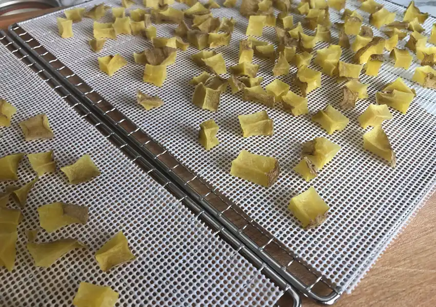 Showing the trays of diced potatoes after they are dried