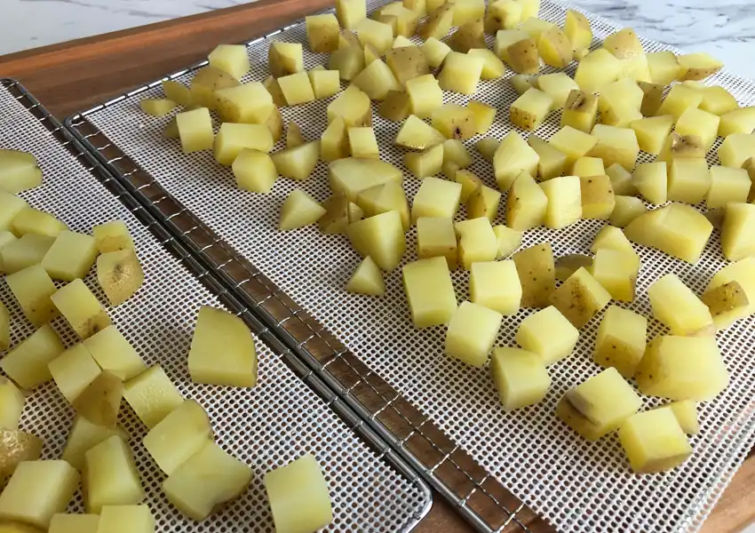 Showing the diced potatoes on dehydrator trays