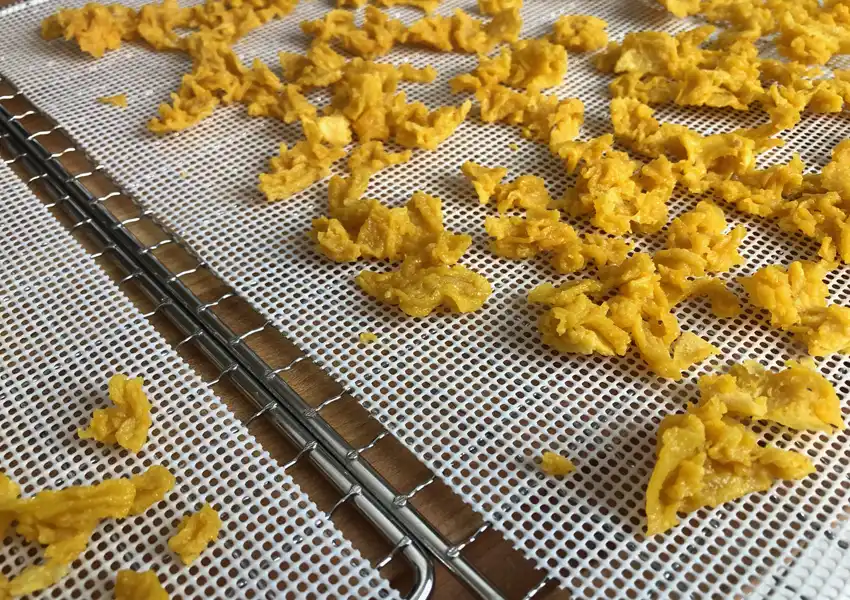 Showing scrambled eggs after they are dehydrated