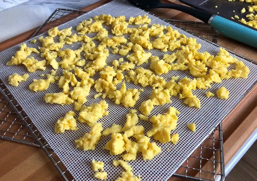 Spreading the scrambled eggs on the mesh sheets for the dehydrator