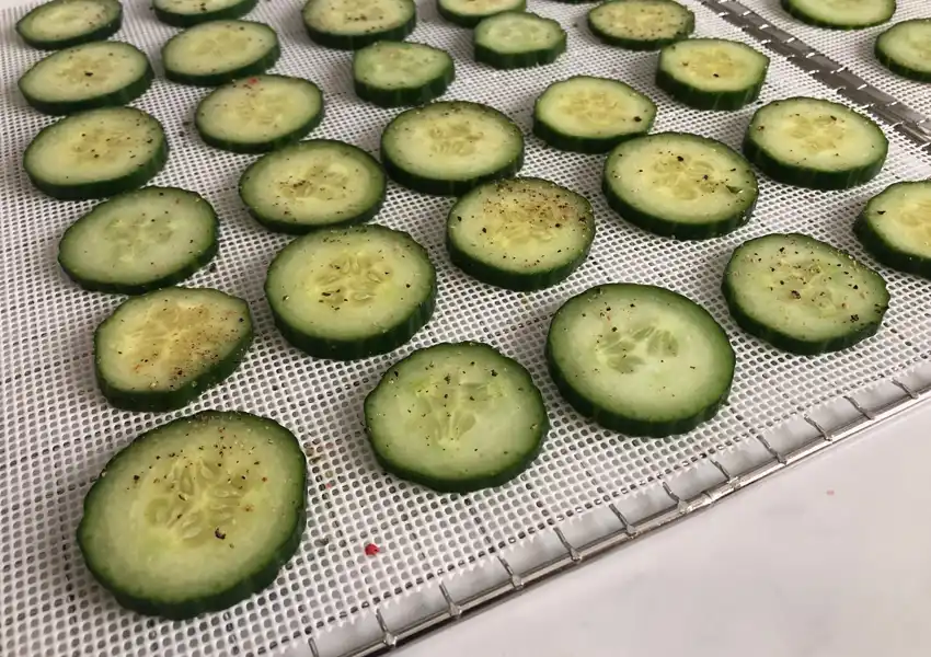 Showing cucumber slices laid out on dehydrator trays and seasoned